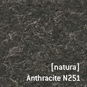 [natura]Anthracite N251.jpg