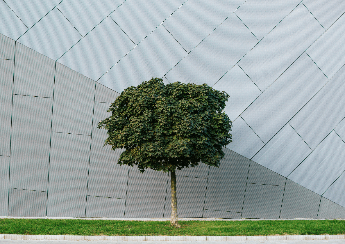 Rainscreen Façades: Enhancing Design and Protection