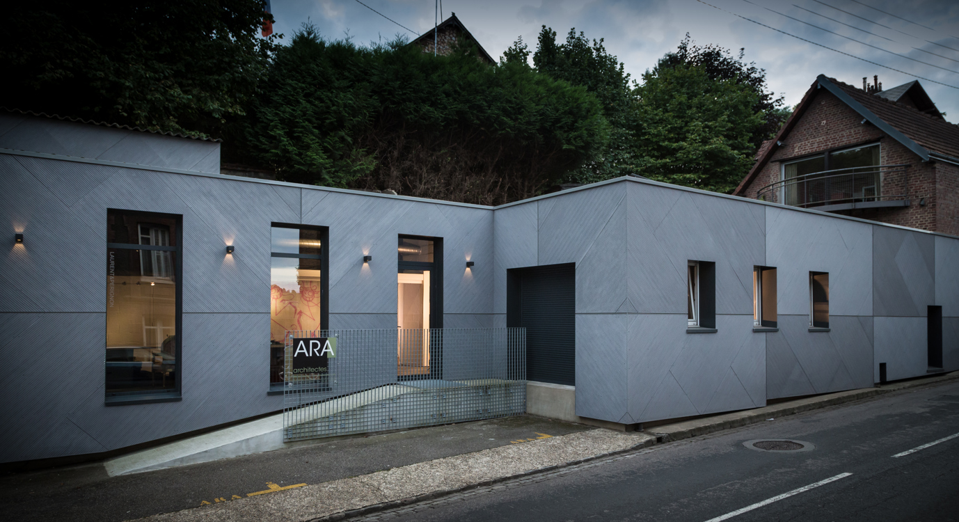 Ara image 2
