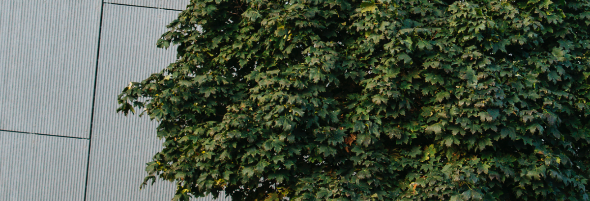 equitone_zrownowazony_rozwoj10