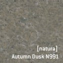 [natura]Autumn Dusk N991.jpg