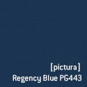 [pictura]Regency Blue PG443.jpg