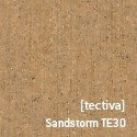 [tectiva]Sandstorm TE30.jpg