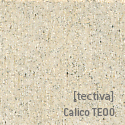 [tectiva]Calico TE00.jpg