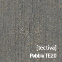 [tectiva]Pebble TE20.jpg