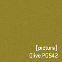 [pictura]Olive PG542.jpg