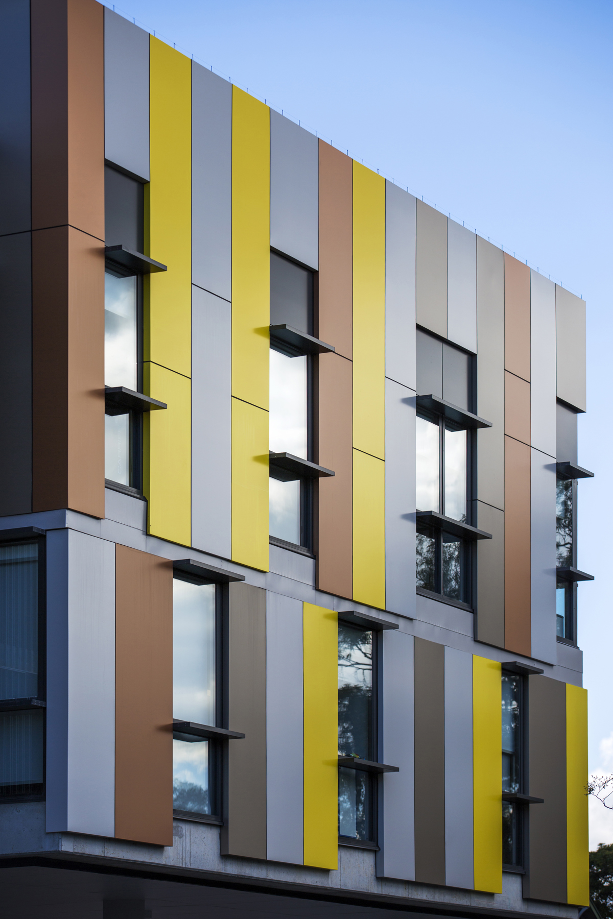 Randwick Public School4/6