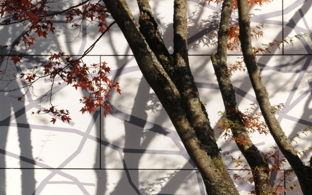 Texture, Shadow and Movement